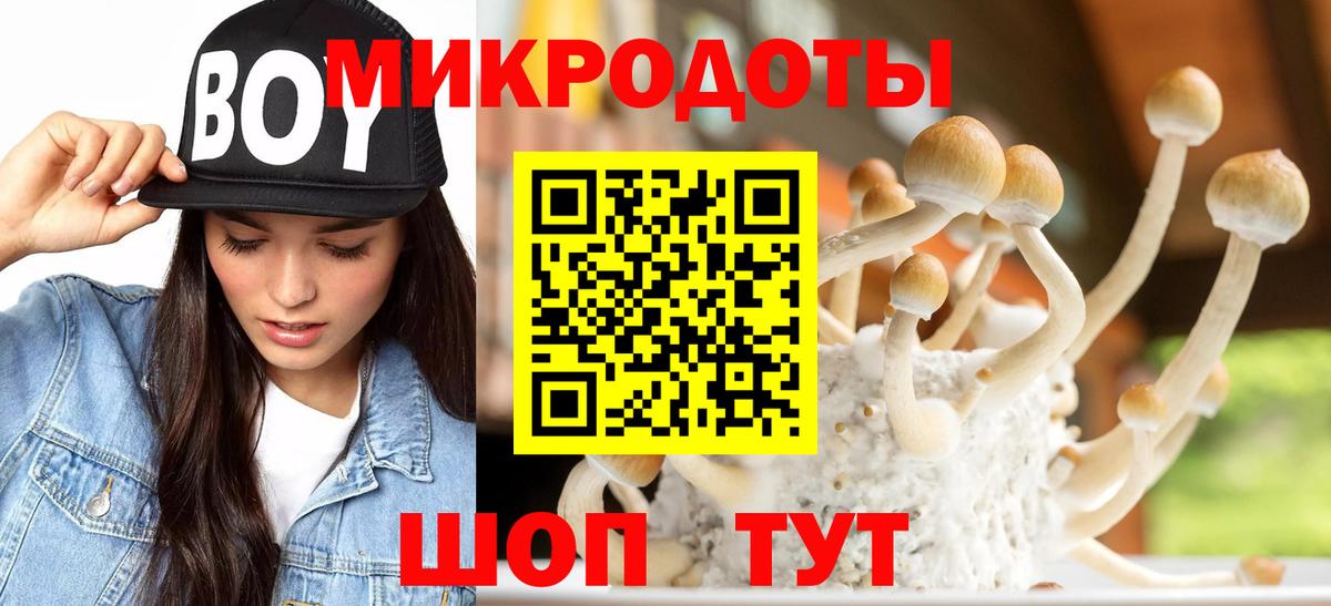 Красноярск  Галлюциногенные грибы ЛСД  Вход с VPN 